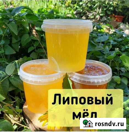 Мед с личной пасеки Кулебаки - изображение 1