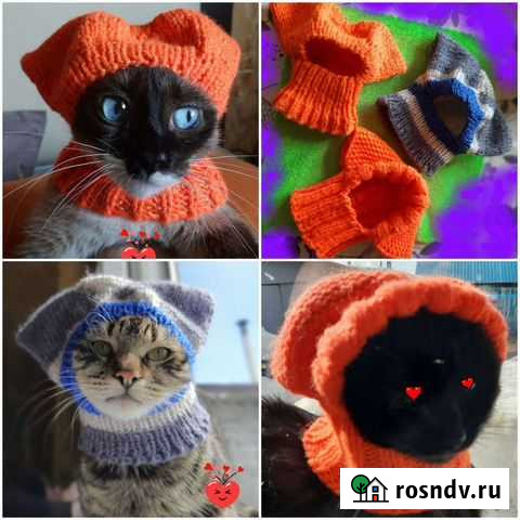 Вязаная одежда для чихуахуа и др. пород собак Петропавловск-Камчатский - изображение 1