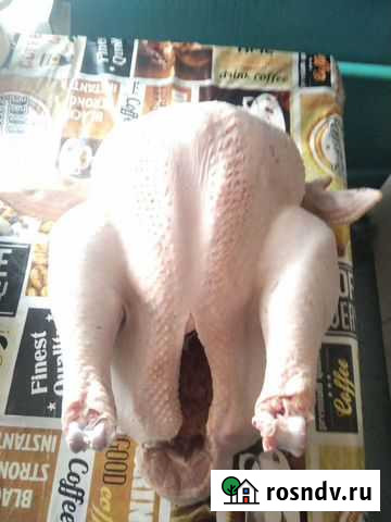 Продаю мясо индейки Выселки - изображение 1