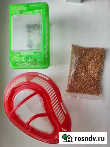 Домик для черепахи Ульяновск - изображение 1