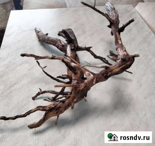 Коряга в аквариум Уфа - изображение 1