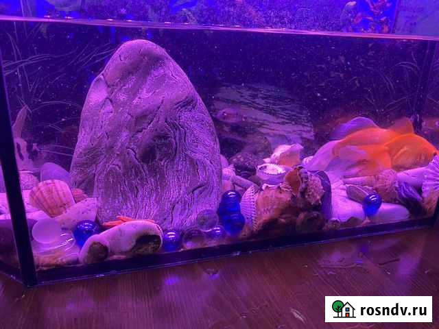 Аквариум Чехов - изображение 1