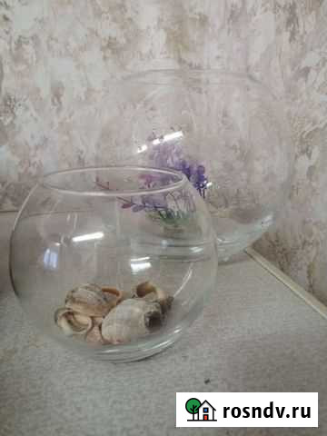 Аквариум Красногорск - изображение 1