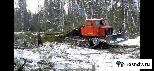 Услуги лесозаготовки Серов - изображение 1