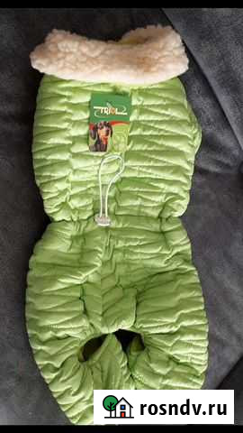 Комбинезон для собаки мелкой породы Тулун - изображение 1