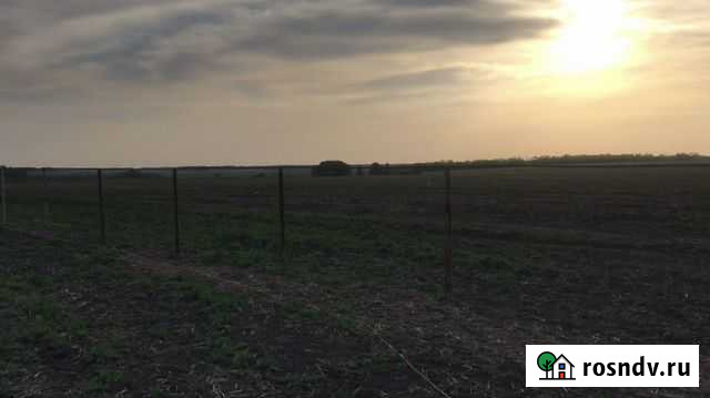 Ищу партнера для совместной деятельности по выращи Барнаул - изображение 1