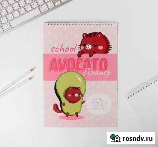 Планер школьника вертикальный А4 Avocato планер Омск - изображение 1