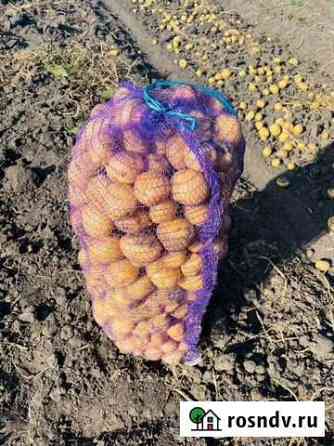 Продам картофель Липецк