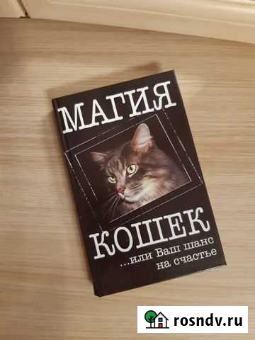 Книга «Магия кошек» Кунгур - изображение 1