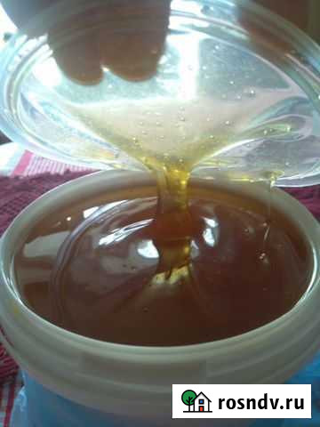 Мёд с пасеки Санкт-Петербург - изображение 1