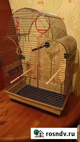 Клетка большая для попугая Смоленск - изображение 1