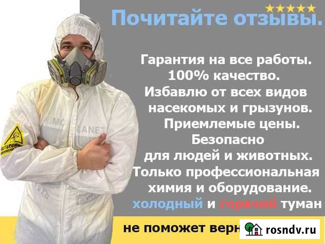 Уничтожение клопов тараканов мышей плесени ртуть Тюмень - изображение 1