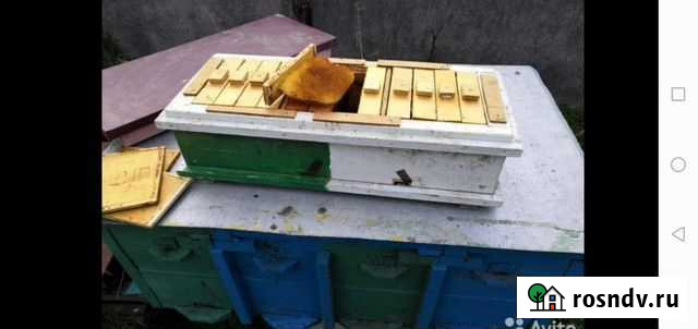 Нуклеус для облета маток. (Ульи) Кропоткин - изображение 1