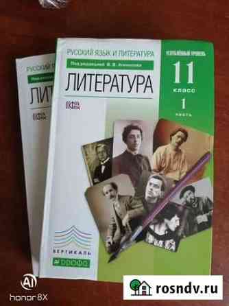 Литература 10-11 класс, углублённый уровень Прокопьевск
