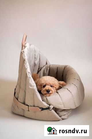 Передержка животных Чита - изображение 1