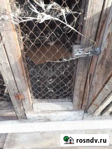 Клетки для кроликов Нижний Тагил - изображение 1