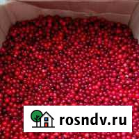 Брусника Улан-Удэ - изображение 1