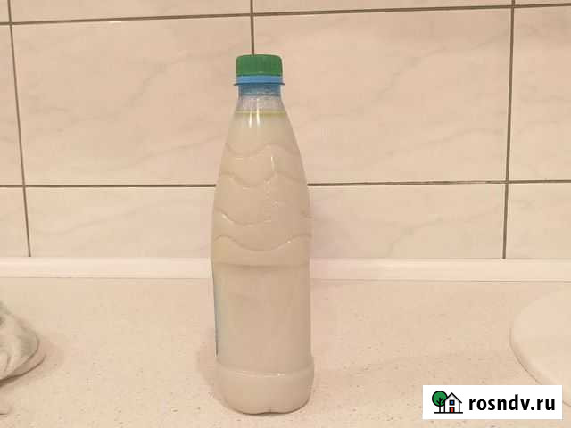 Барсучий жир от охотника Кувандык - изображение 1