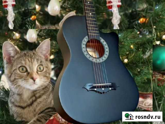 Гитара Новокузнецк - изображение 1