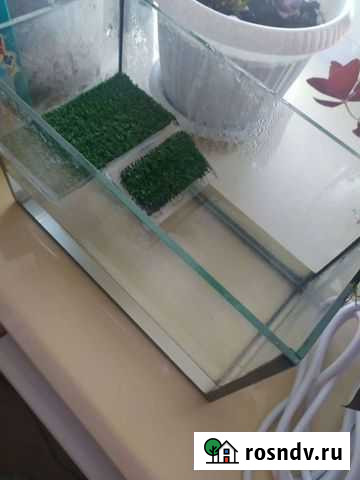 Террариум для черепахи Уфа - изображение 1