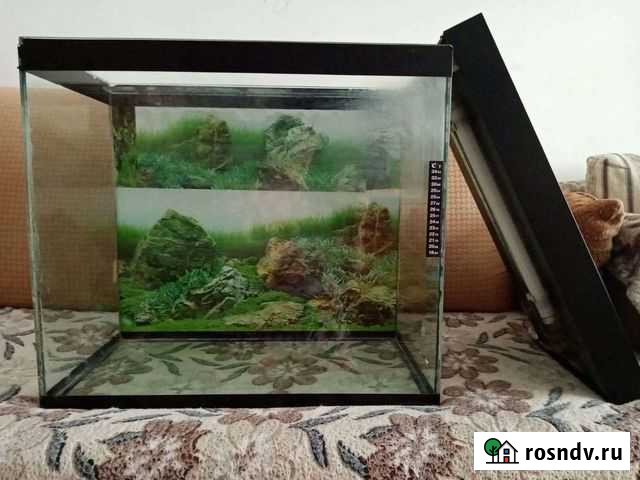 Аквариум Амурск - изображение 1