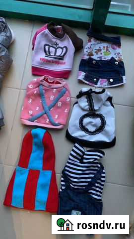 Одежда для маленьких собак Красногорск - изображение 1