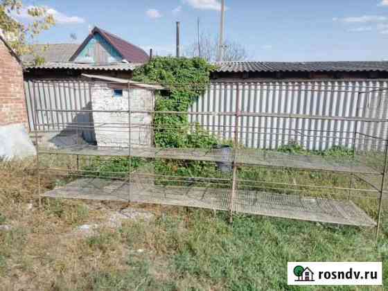 Клетки Краснокумское