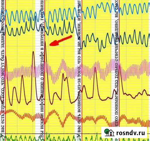 Проверка на полиграфе Москва - изображение 1
