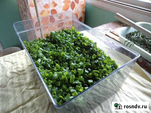 Зелень замороженная с дачной грядки Биробиджан - изображение 1
