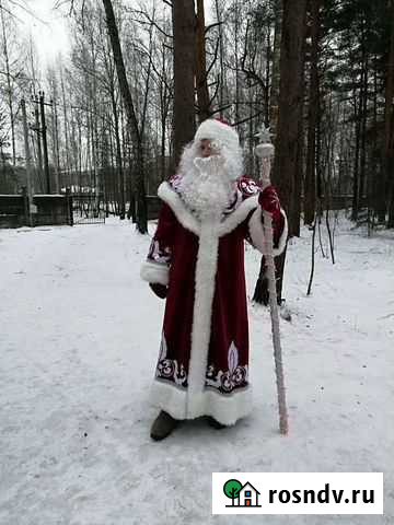 Дед Мороз и Снегурочка Ярославль - изображение 1