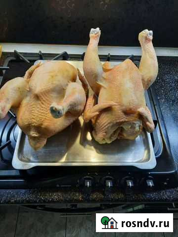 Мясо домашнего бройлера Волжский - изображение 1