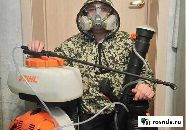 Уничтожение клопов Уфа - изображение 1