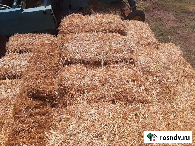 Солома ячменная Симферополь - изображение 1