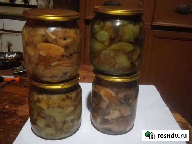 Грибы Белые маринованные Судогда - изображение 1