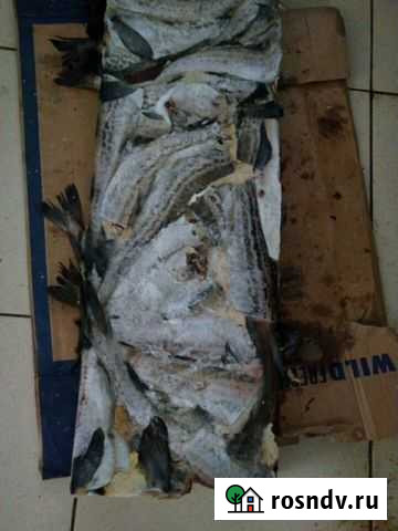 Минтай,навага,путассу Горячий Ключ - изображение 1