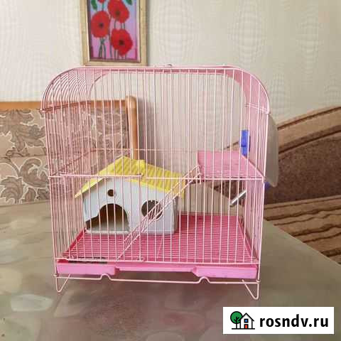 Клетка для хомяка Улан-Удэ - изображение 1