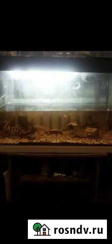 Аквариум Клин - изображение 1