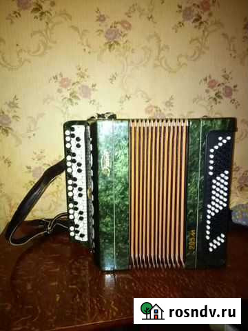 Баян Знаменка - изображение 1