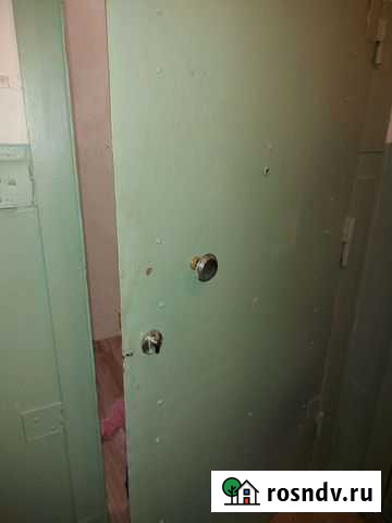 Дверь металлическая Заринск - изображение 1