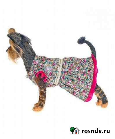 Платье для питомца Кострома - изображение 1