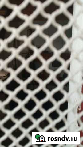 Полотно капроновое Рославль - изображение 1