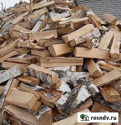 Сухой дуб, ясень, береза Тула - изображение 1