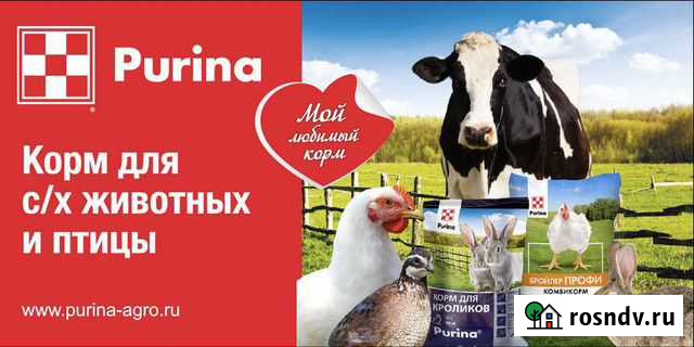 Отруби Кукурза Пшеница Комбикорм Овес Мука Пурина Гудермес - изображение 1