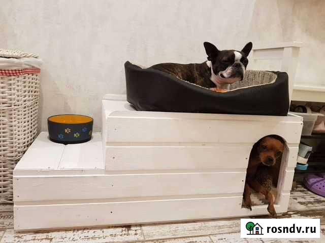 Домик для Вашего питомца Одинцово - изображение 1