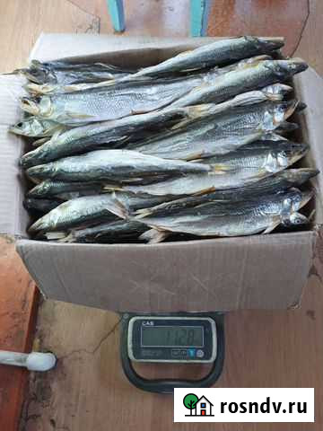 Корюшка вяленая Елизово - изображение 1