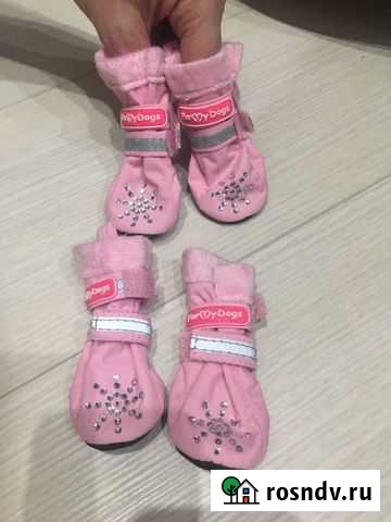 Ботинки для собак Магадан - изображение 1