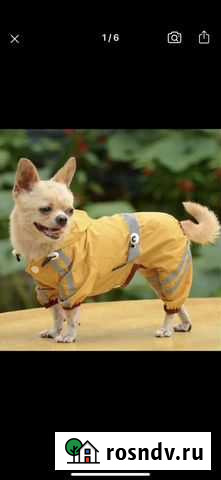 Комбинезон весна осень Нижневартовск - изображение 1