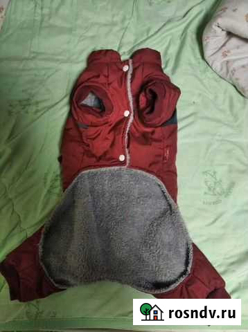 Куртка для собаки Кострома - изображение 1