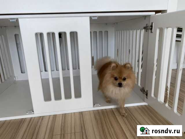 Вольер для собак Симферополь - изображение 1