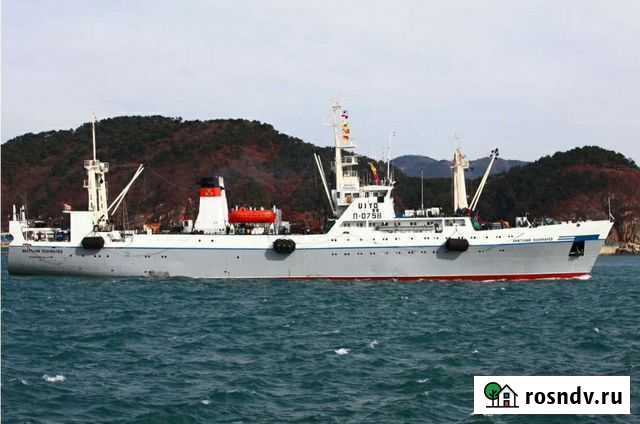 Помогу с документами для работы в море Рубцовск - изображение 1